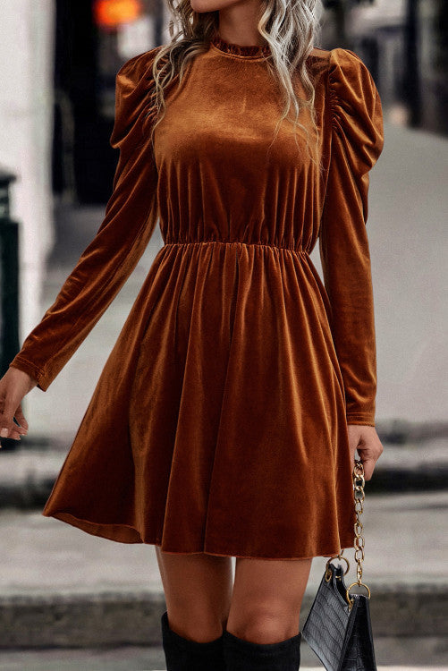 Chestnut velvet dress